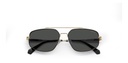 POLAROID (PLD) Sunglasses PLD 2112/S(SUNGLASS COLOR CODE: 2M2,SUNGLASS BOX SIZE (MM): 58.0)