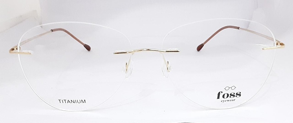 FOSS TITANIUM (FOSS TITANIUM) FRAME FOSS TITANIUM T139W