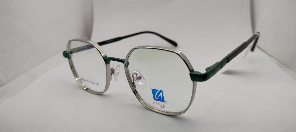 AISLIN (AISLIN) FRAME ASN (AISLIN)-FRAME 88008