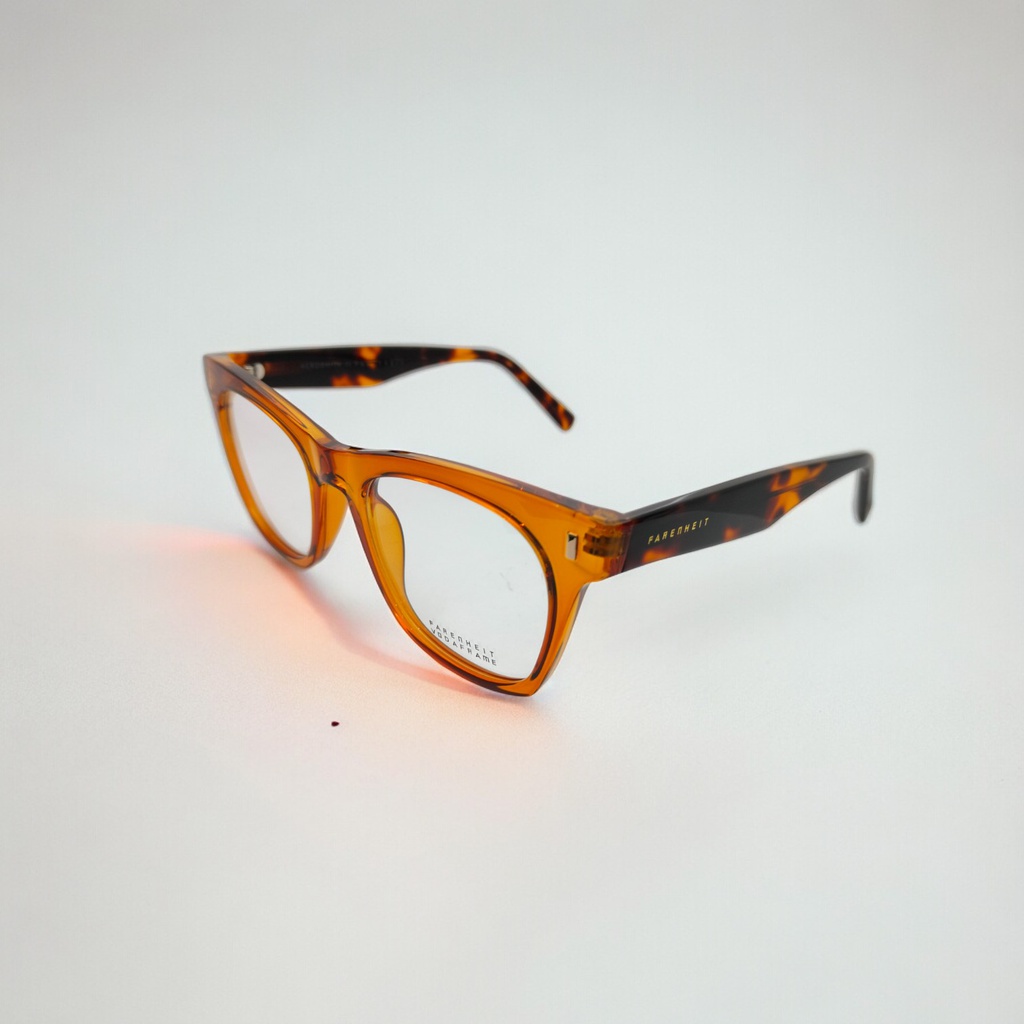 (FRAME ) FARENHEIT AEROSMITH 4681