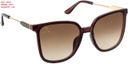 UL88 ECO (UL88 ECO) SUNGLASSES Sunglasses 3075
